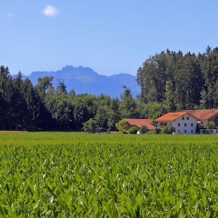 Beim Lenglacher Chieming Buitenkant foto