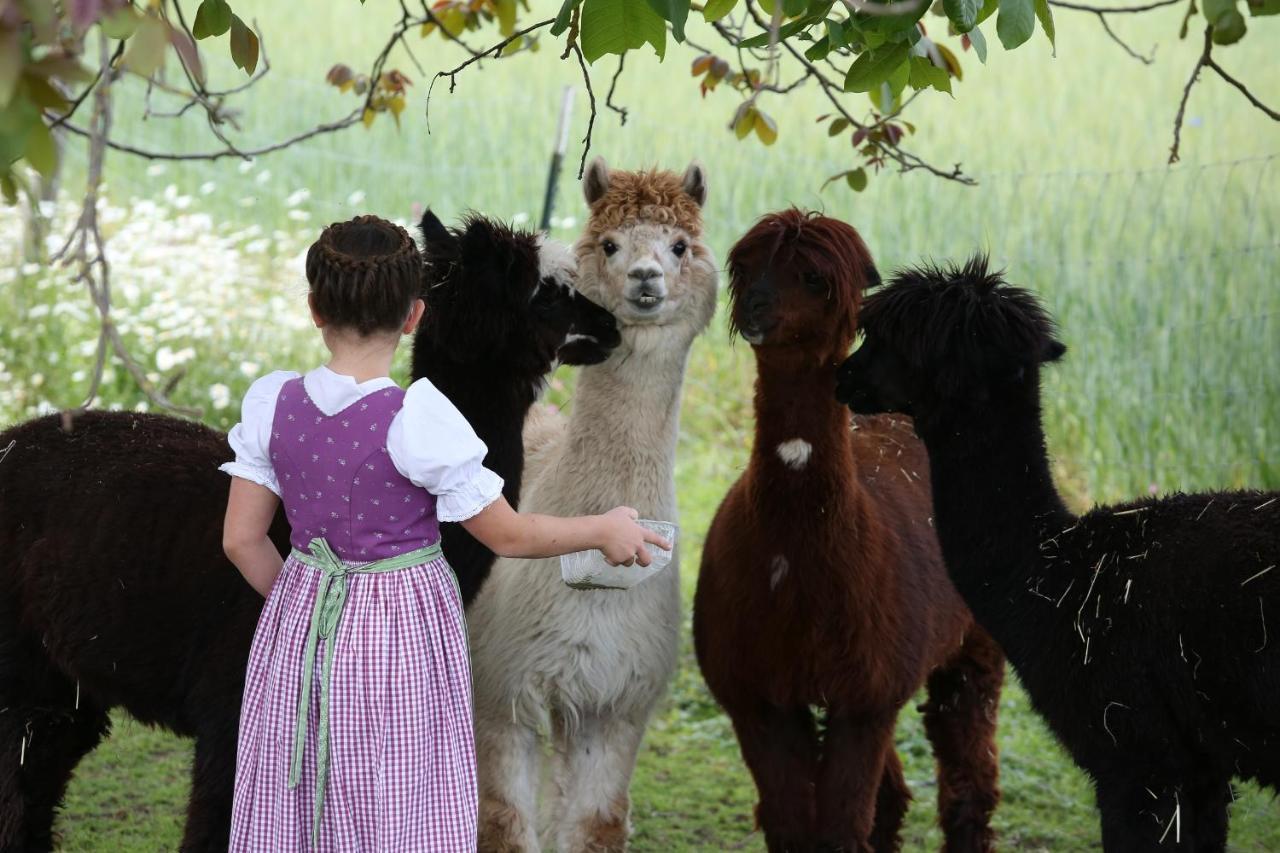 Beim Lenglacher Chieming Buitenkant foto