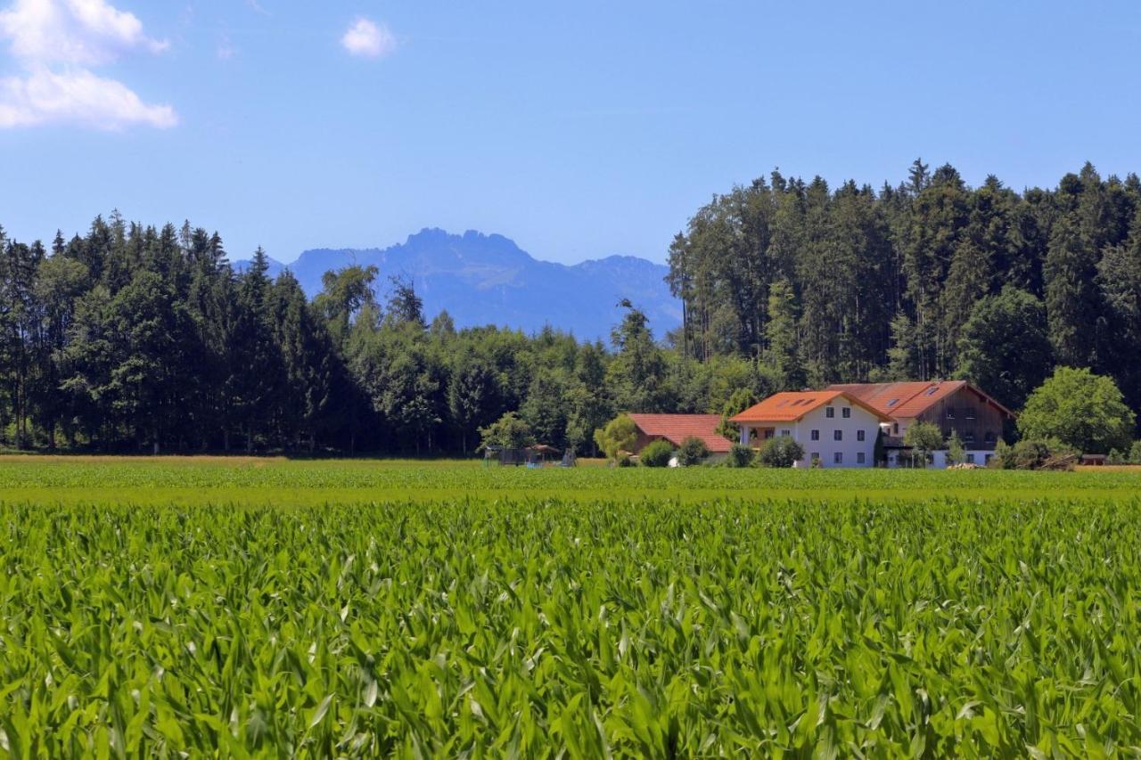 Beim Lenglacher Chieming Buitenkant foto