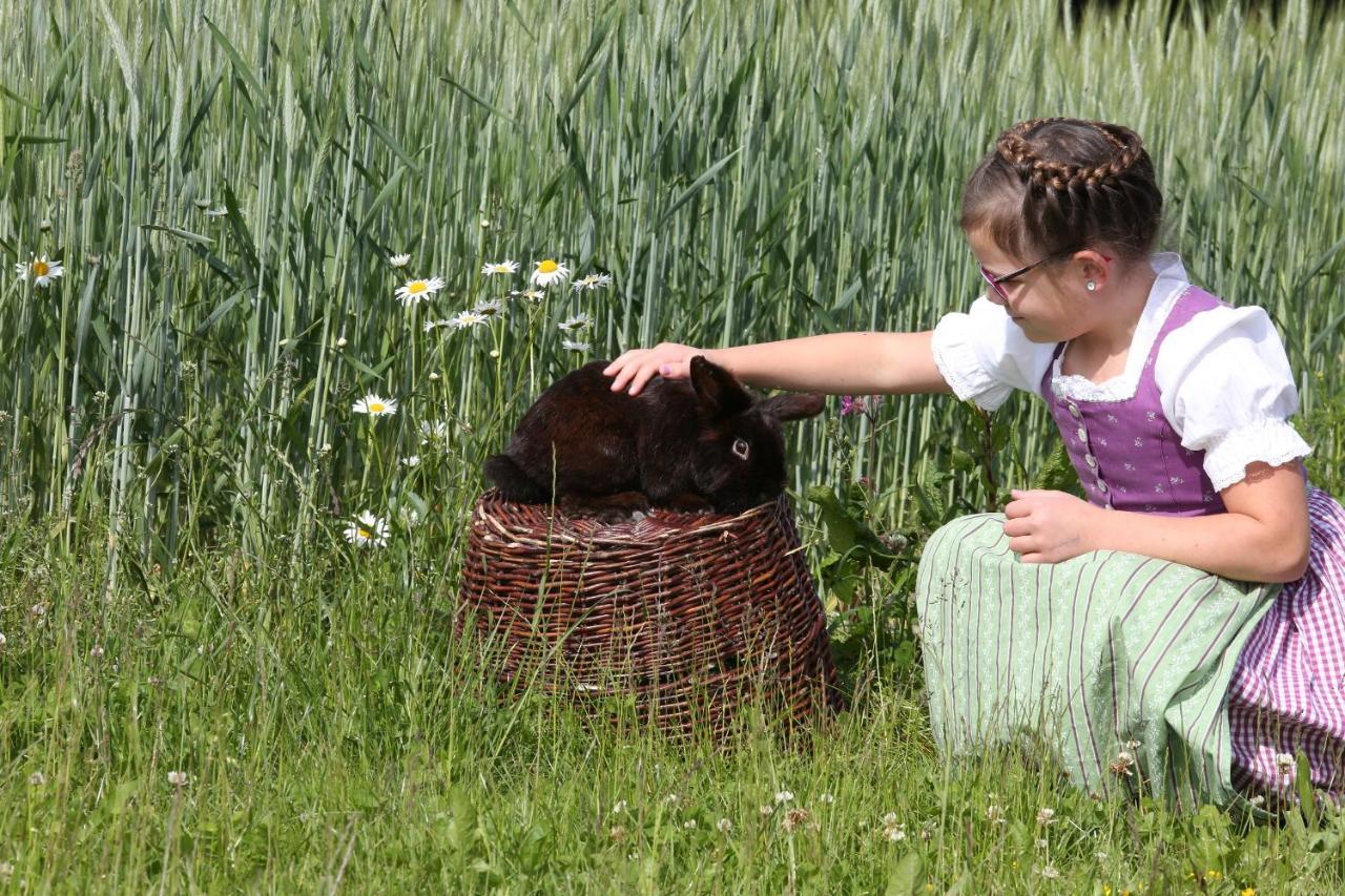 Beim Lenglacher Chieming Buitenkant foto